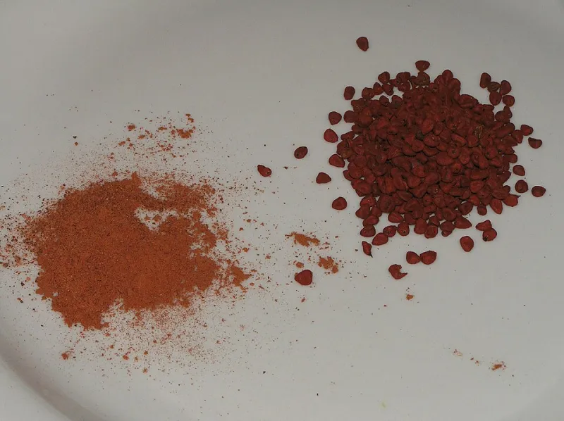 Achiote: The Little Seed That Colors, Flavors, and Transforms Everything It Touches