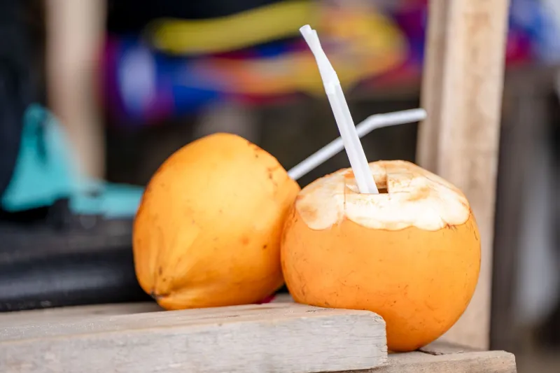 The Caribbean Side of Panama That Changed Everything — And Never Got the Credit
