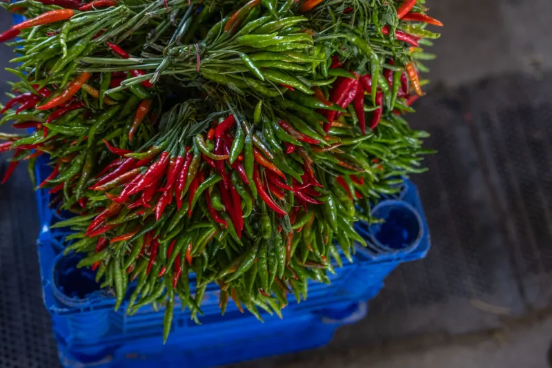 Beyond Sofrito: The Aromatic Powerhouses That Actually Run the Panamanian Kitchen