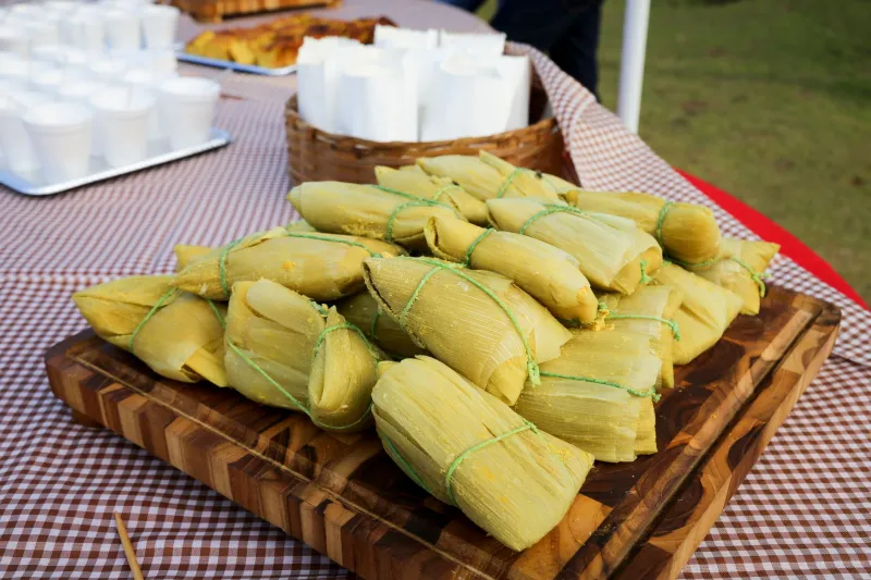 Once a Year and Worth Every Bite: A Home Cook's Guide to Panama's Most Beloved Seasonal Dishes