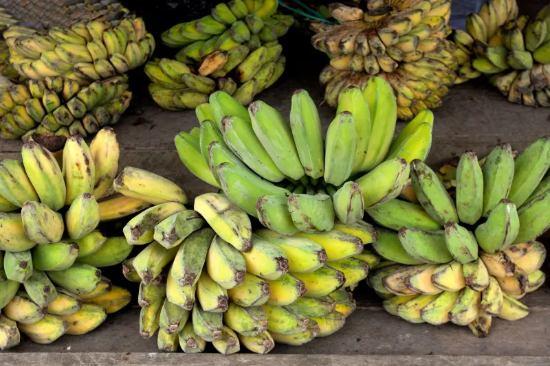 Green, Yellow, Black: The Plantain Color Code That Changes Everything About How You Cook