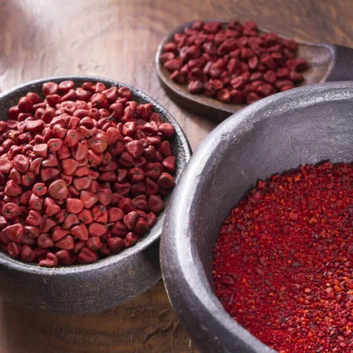 Move Over, Sofrito: Recado Is the Flavor Paste Your Kitchen Didn't Know It Was Missing